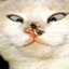 Avatar de Usuario