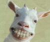 Avatar de Usuario