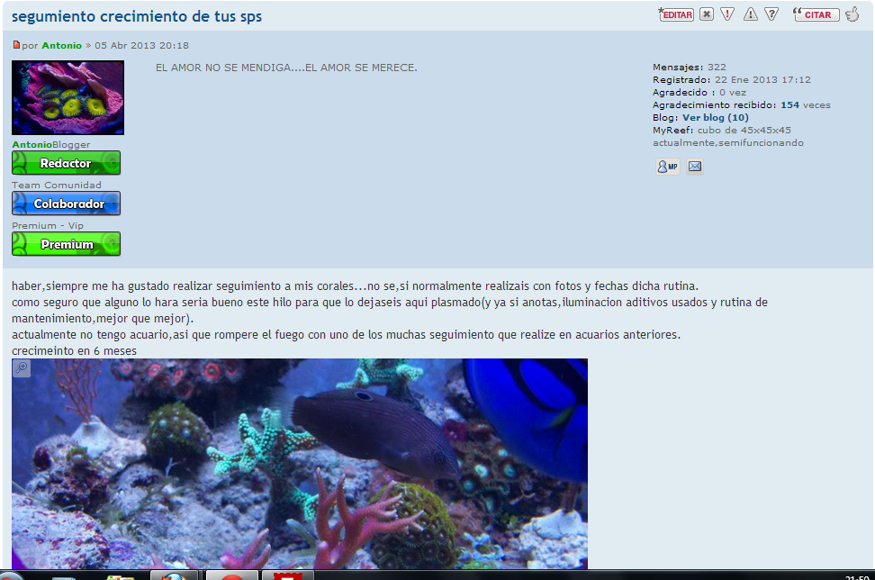 recorte1.PNG
