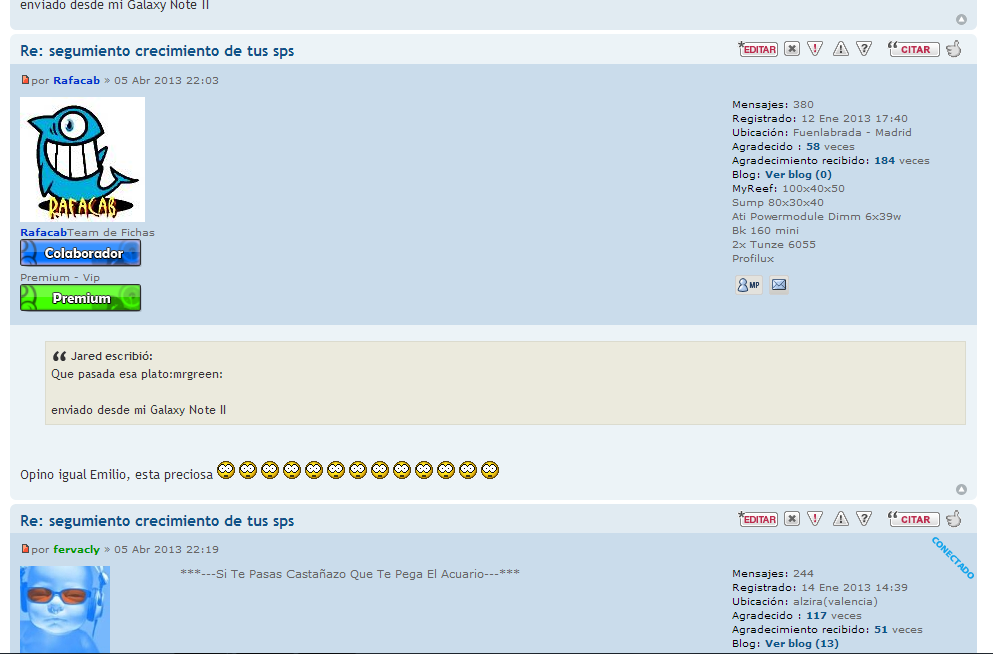 recorte2.PNG