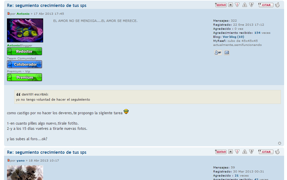 recorte3.PNG