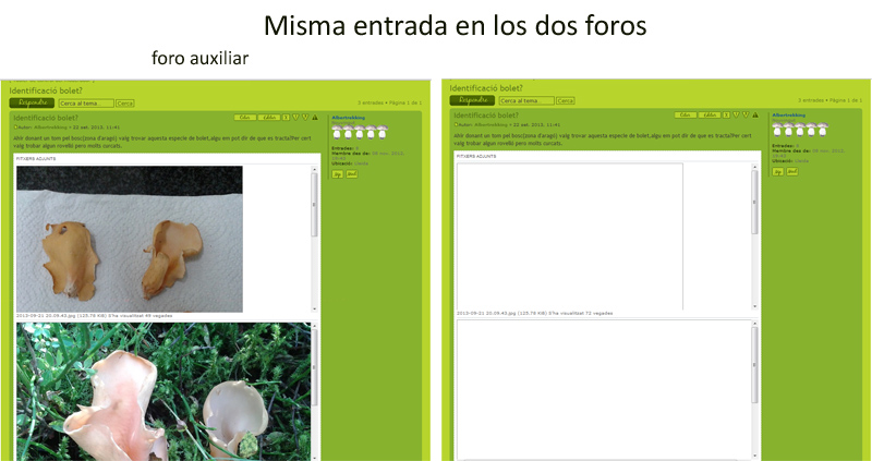 comparativa 1.jpg