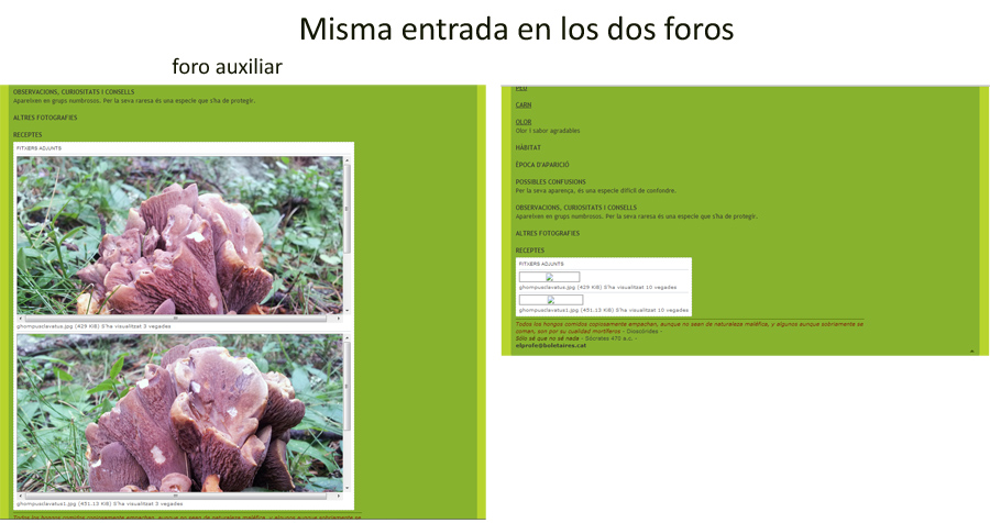 comparativa 2.jpg