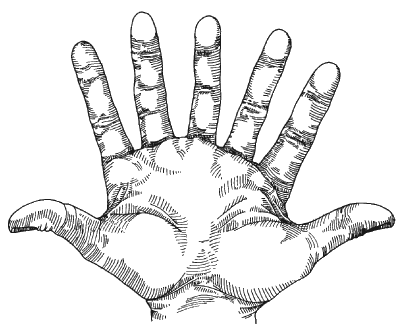 seven_fingered_hand.gif